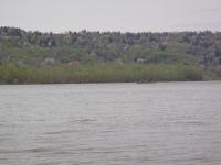 Donau bei Novi Slankamen 2012