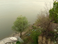 Ruderboote Stari Banovci Donau 2012
