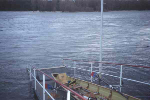 Hochwasser Elbe Aken Ruderboot