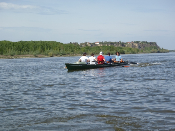 Abbruchkante Donau 2017