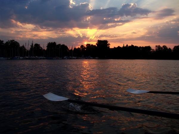 Abendliche Ruderstimmung auf der Havel 2015