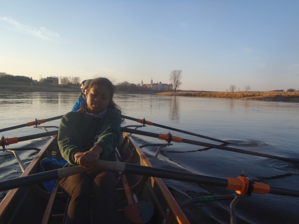 Anfahrt auf Torgau im Ruderboot Elbe 2015