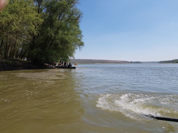 Anlegen im Windschatten Donau 2019