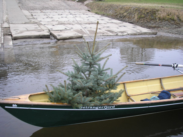 Barkenfahrt 2005 Weihnachtsbaum