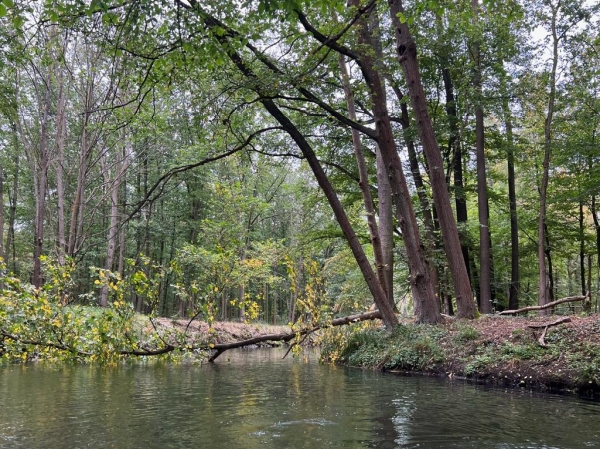 Biberblockade Spreewald 2023