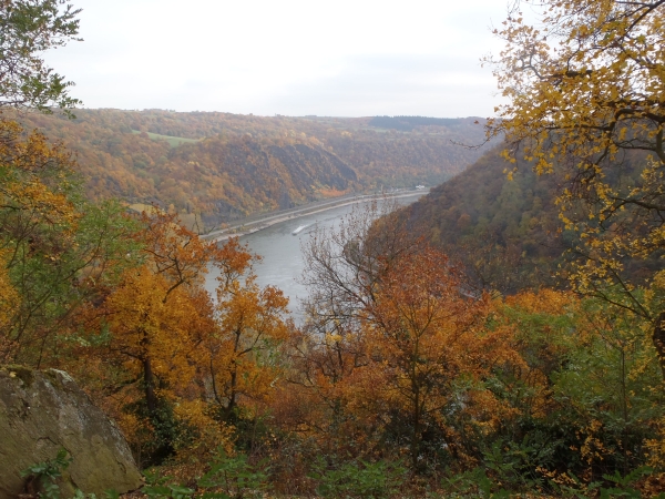 Blick aufs Rheintal von der Loreley aus 2015