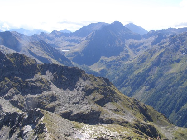 Blick zum Waldhorn L07