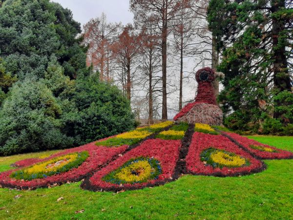 Blumenschmuck Mainau Silvester 2021