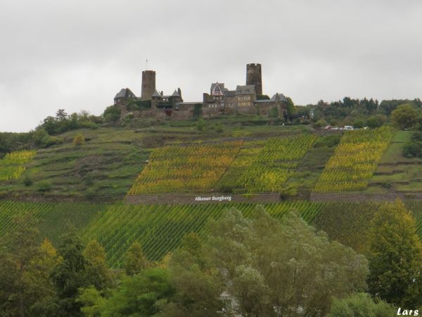 Burg an der Mosel 2019