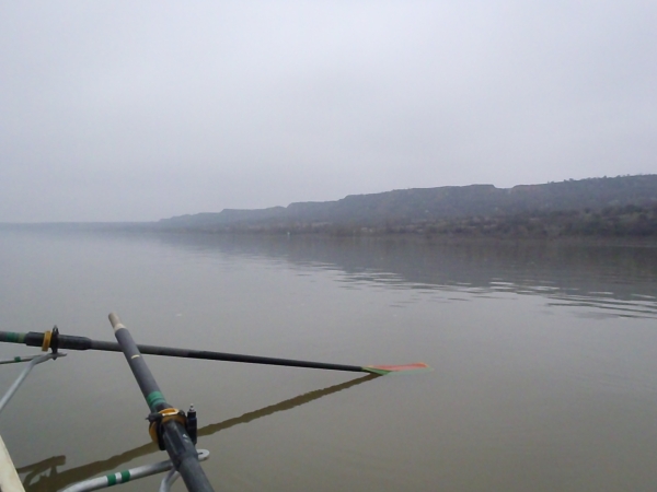 Donau 2013 vor Orjahovo