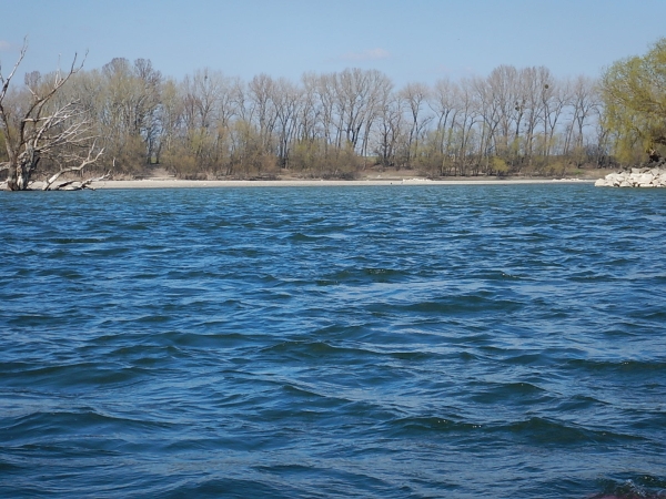 Donau 2016 weg nach Esztergom