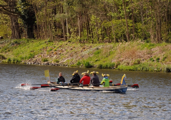 Drachenboot-Rudercup Wikinger 2016