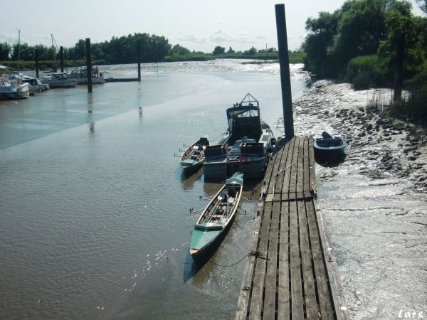 Ebbe an der ELbe 2021