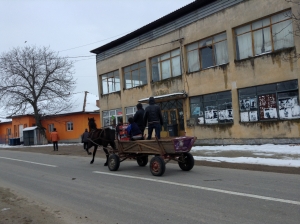 Einkaufen im Dorfkonsum Donau 2013