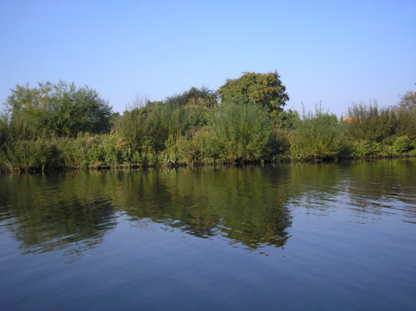 Elbe- Luebeck- Kanal Landschaft 30