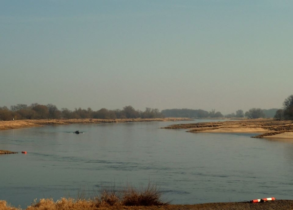 Elbe mit ruderboot wittenberg 2014