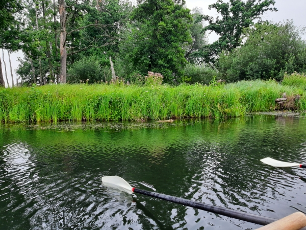 Erster Biberkontakt im Spreewald 2020