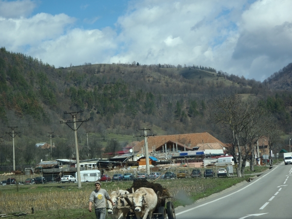 Gegenverkehr auf der Hauptstrasse Donau 2013