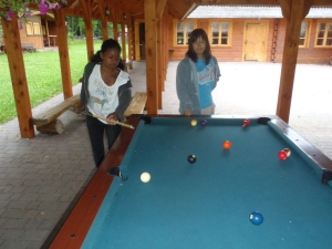 Grodek Billiard Bug 2013 Grodek Billiard Bug 2013