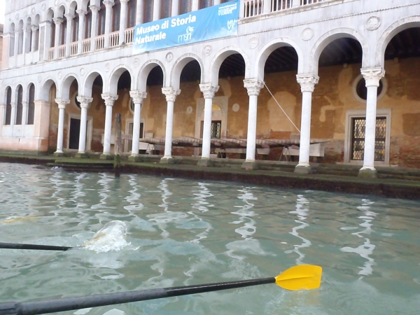 Grossgondel im Museum Venedig 2013