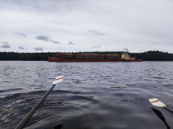 Holzfrachter auf dem Saimaa 2023