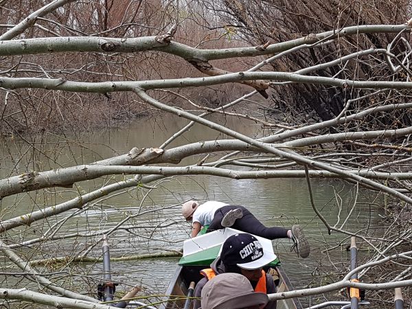 Johanna raeumt den Weg fuer die Boote frei Donaudelta 2019