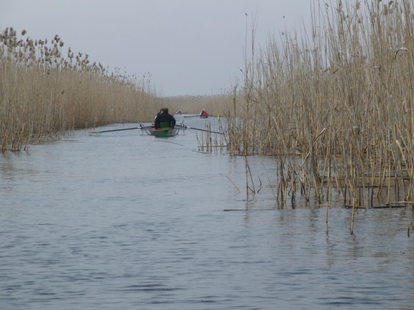 Kanal im Donaudelta DD10