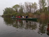 Kanal nach Karavukovo Ruderboot 2012