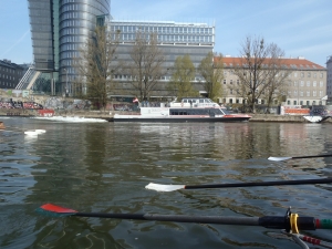 Katamaran Wien Bratislava mit Ruderbooten Wien 2015