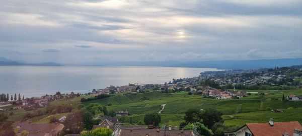 Lac Leman 2022 Panorama