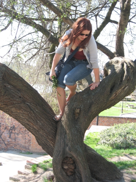 Lina auf dem Baum O09