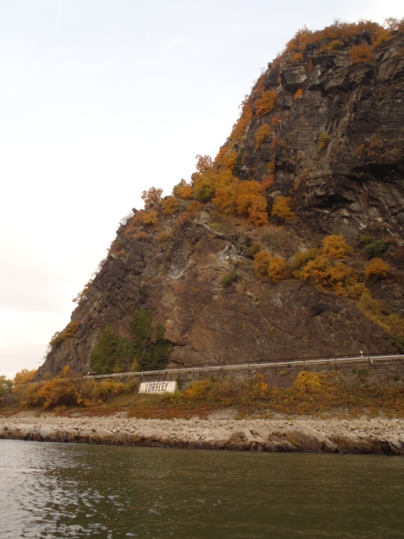 Loreley Felsen Rhein 2015