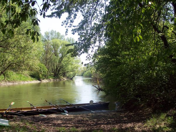 Mossoni Donau bei Rajka Ruderboot D11