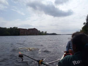 Narew Muendung Weichsel 2013