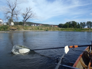 Narew mit wenig Wasser 2015 Narew mit wenig Wasser 2015