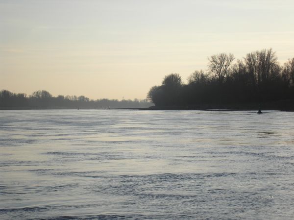 Rhein im Winter RH08