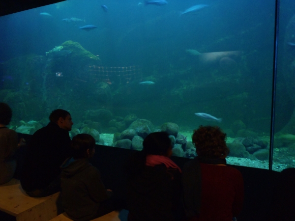 Riesenaquarium Goeteborg 2012