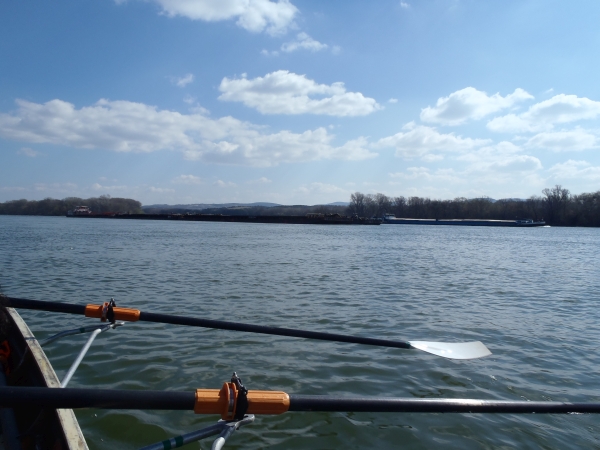 Riesenfrachter auf der Donau 2016