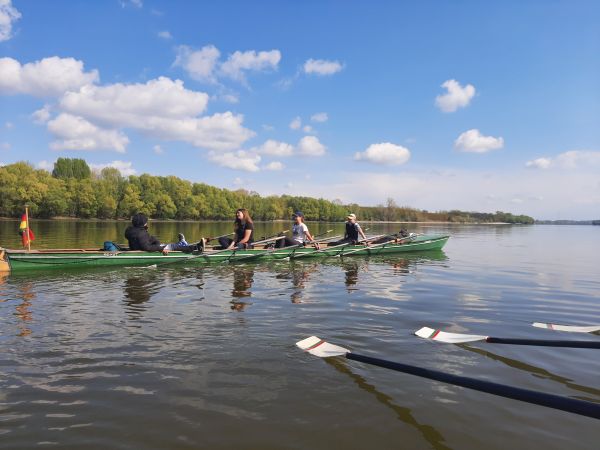 Ruderboot Donau 2022