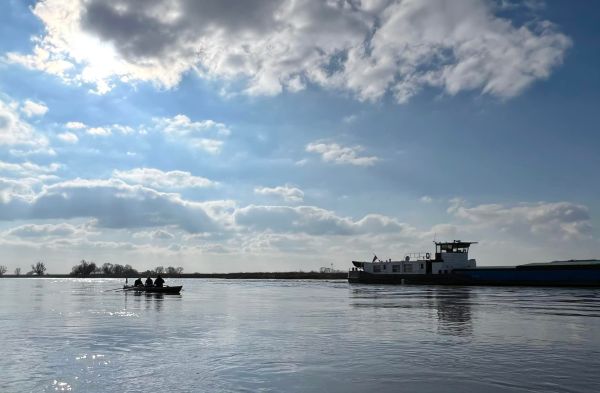 Ruderboot Elbe Marathon 2022