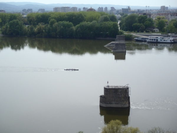 Ruderboot Novi Sad 2017