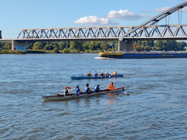 Ruderboot Rheinmarathon 2024