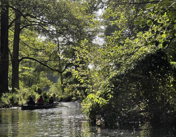 Ruderboot auf Spreewaldfliess 2022