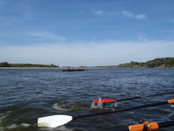 Ruderboot vor den Sandbaenken auf der Weichsel 2015