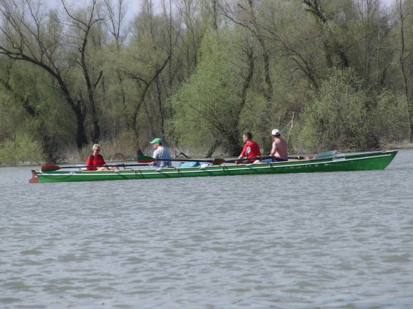 Ruderboot vor ueberschwemmten Auwald DD10