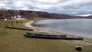 Ruderboote am Donau-Altarm in Wallsee 2015