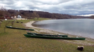 Ruderboote am Donau-Altarm in Wallsee 2015