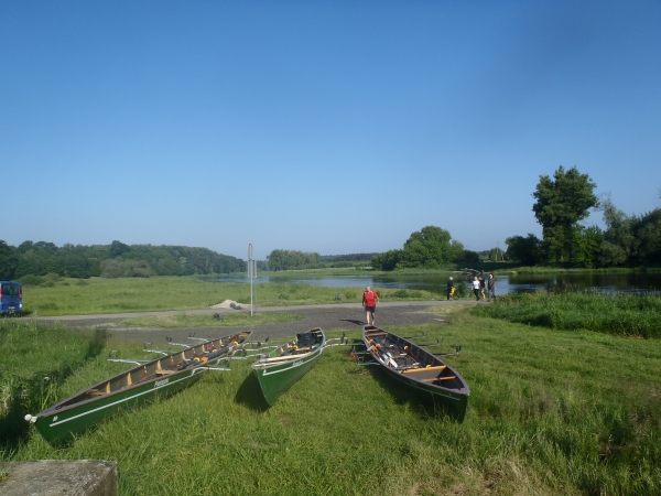 Ruderboote an der Warthe 2014