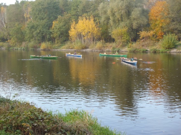 Ruderboote auf Warteposition Teltowkanal Spreewald 11