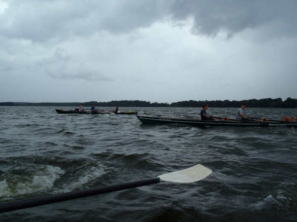 Ruderboote auf dem Schwielochsee 2015-1